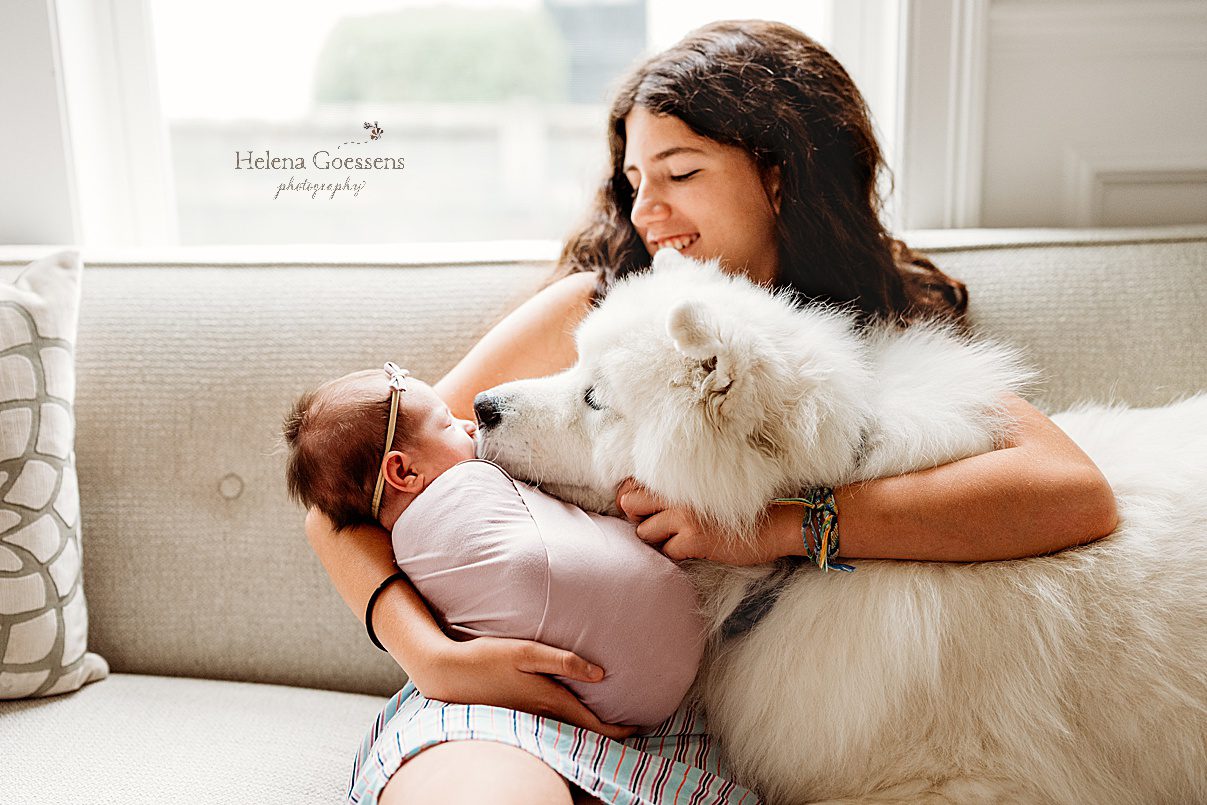 teenage girl holds newborn baby girl in pink wrap with white dog sniffing baby during Needham MA lifestyle newborn portraits