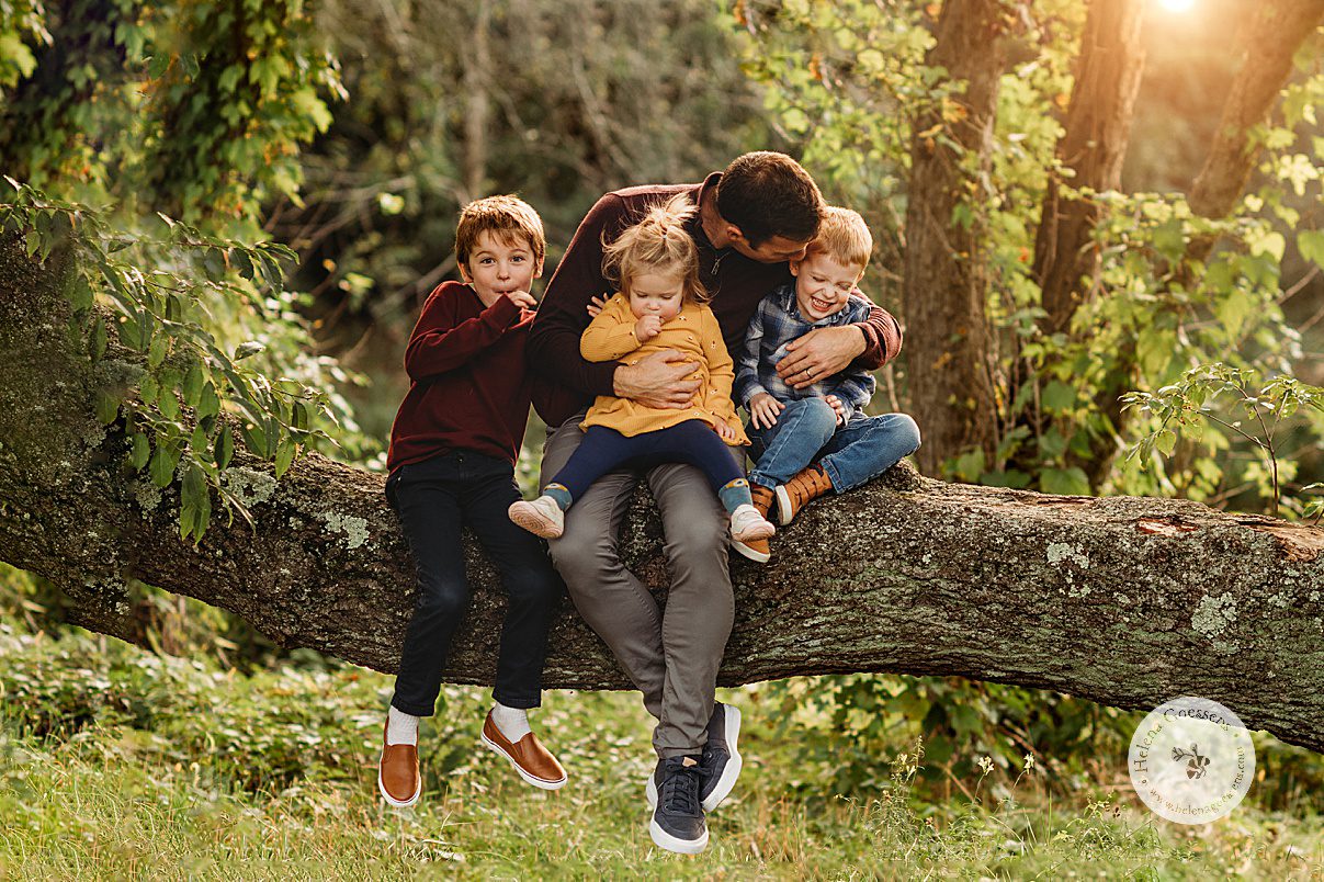 dad sits with three kids hugging on tree branch during fall Larz Anderson Park family portraits