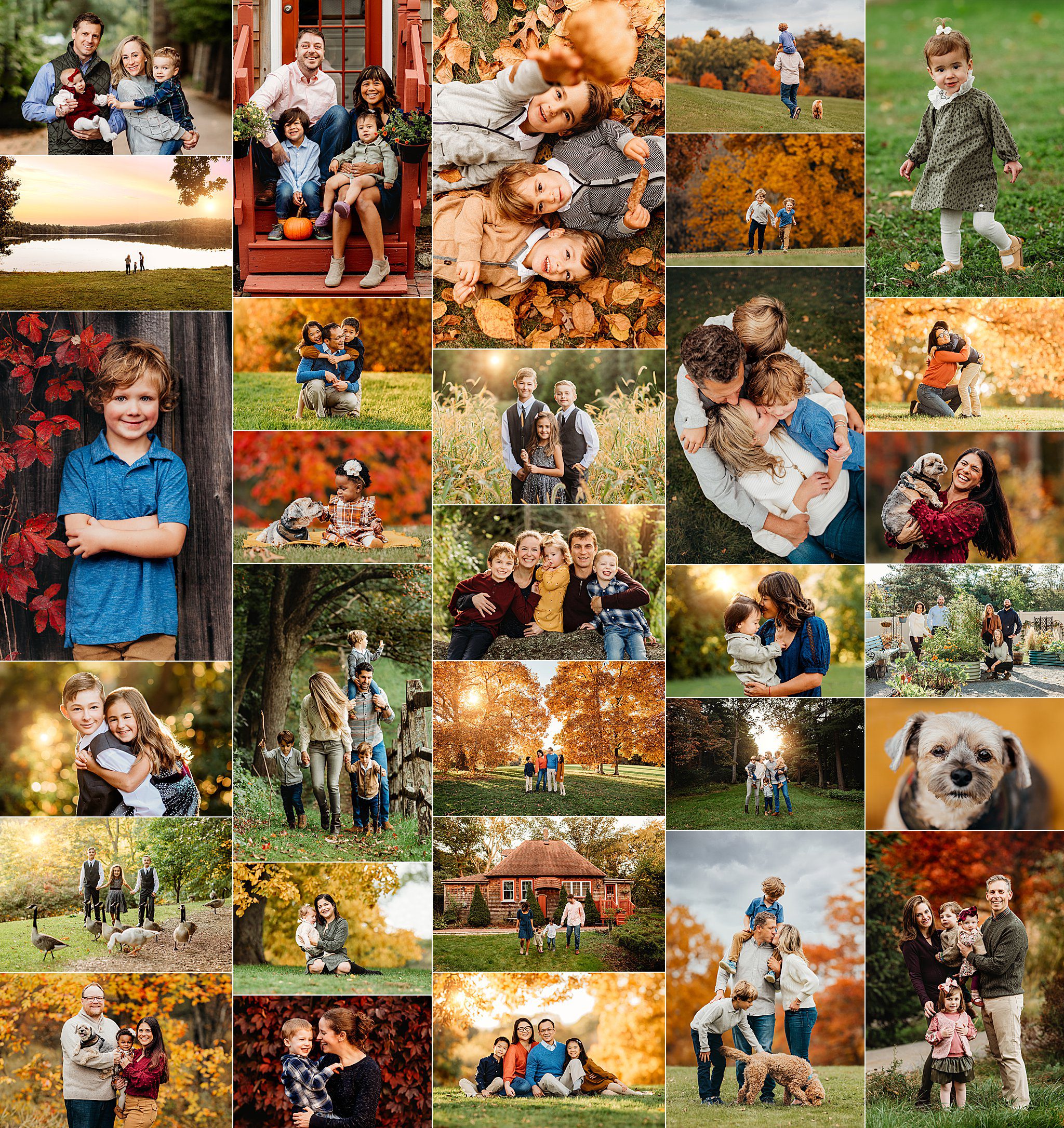 Boston Newborn and Family Photographer Helena Goessens Photography recaps 2023 fall season with family portraits 