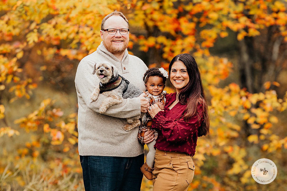 parents smile holding toddler and little dog during fall lifestyle family portraits in Westwood MA