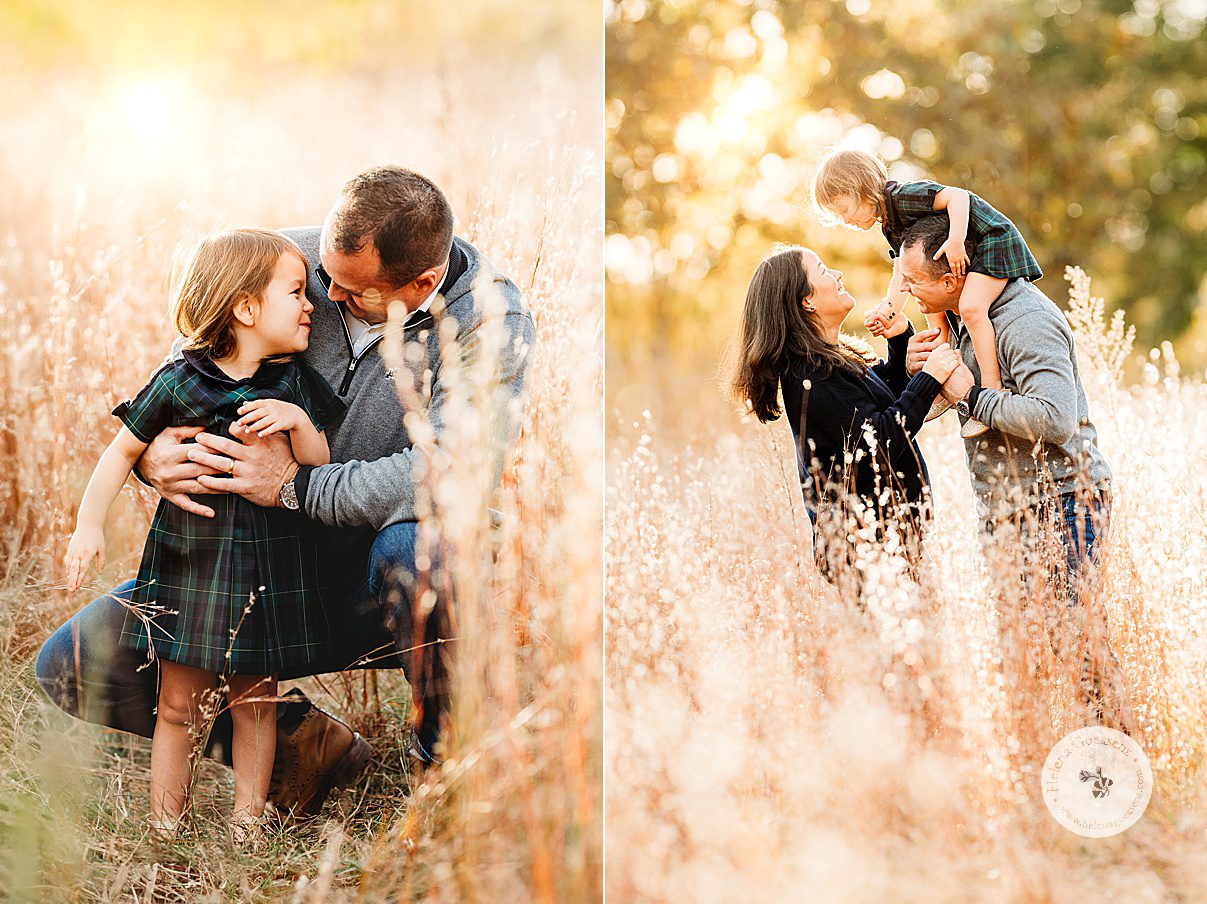 dad plays with toddler in high grass during fall family portraits in Concord, MA