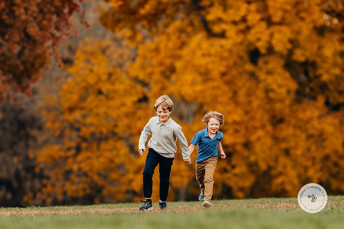 brothers hold hands running in front of orange trees at Larz Anderson Park