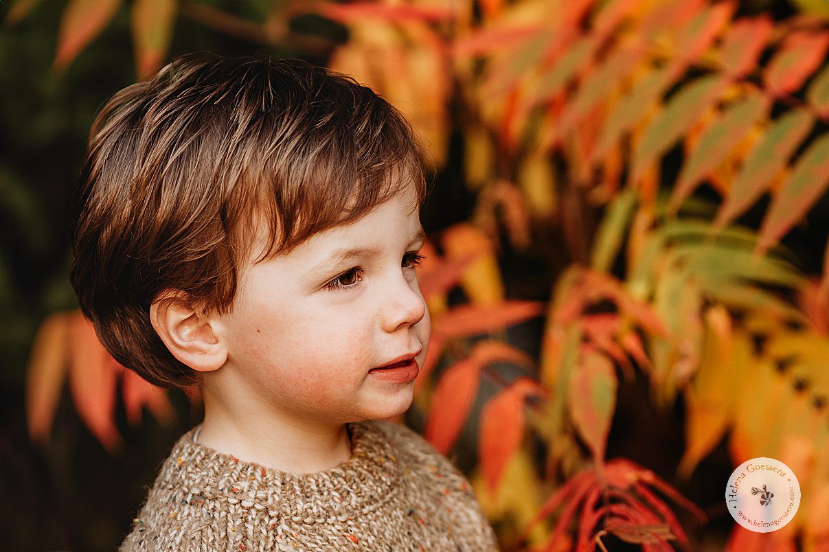 toddler boy in brown knit sweater looks to right in front of orange and yellow leaves 