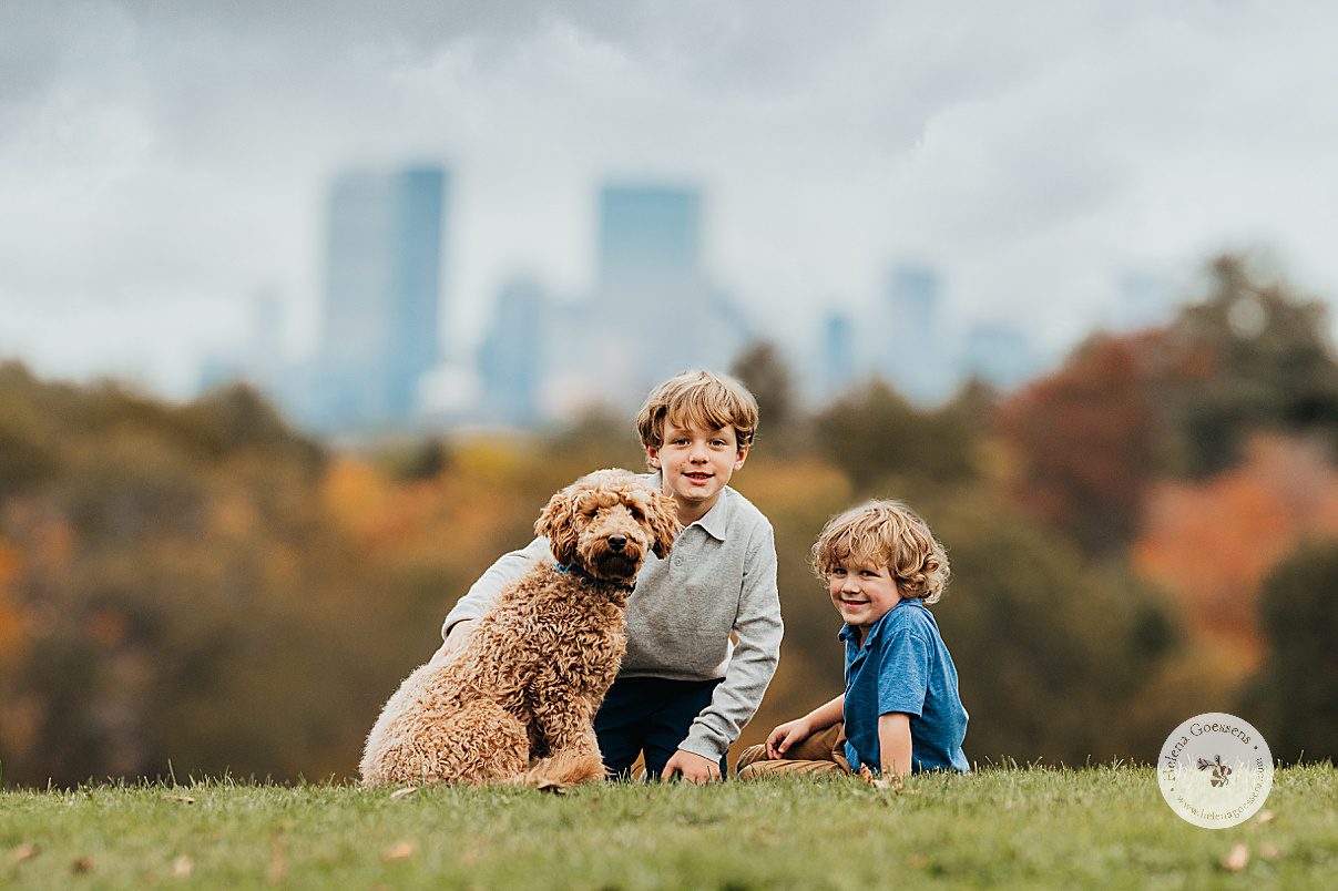brothers sit on lawn with dog during Larz Anderson Park fall family portraits in front of Boston skyline 