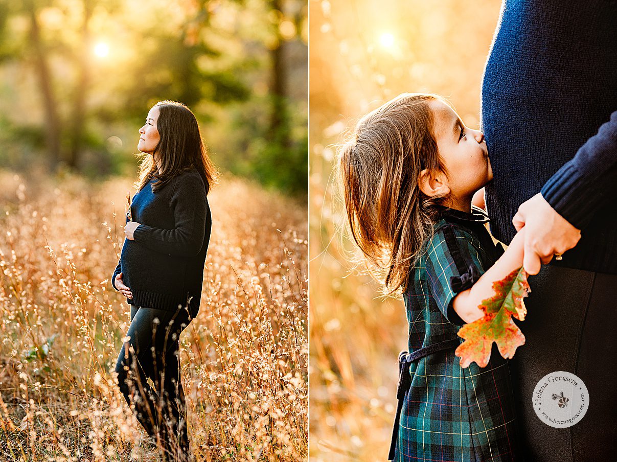 toddler in blue and green dress kisses mom's baby bump during fall family portraits in Concord, MA