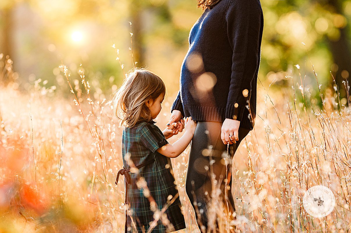 expecting mom holds hands with toddler in tall grass during fall family portraits in Concord, MA