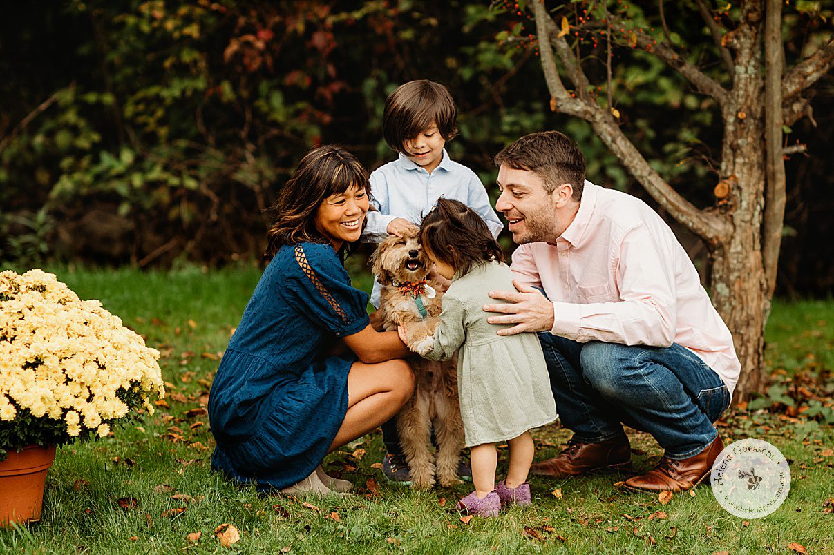 family of four pets dog during fall family portraits at home in Dedham MA