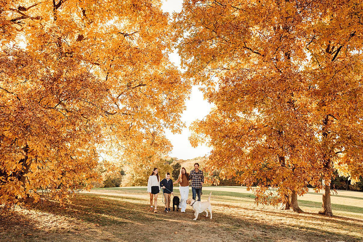 A family of five with a dog stands together under large trees with vibrant orange autumn leaves in a sunlit Massachusetts park. The ground is covered with fallen leaves, perfect for stunning Fall Family Photos beneath the clear sky.