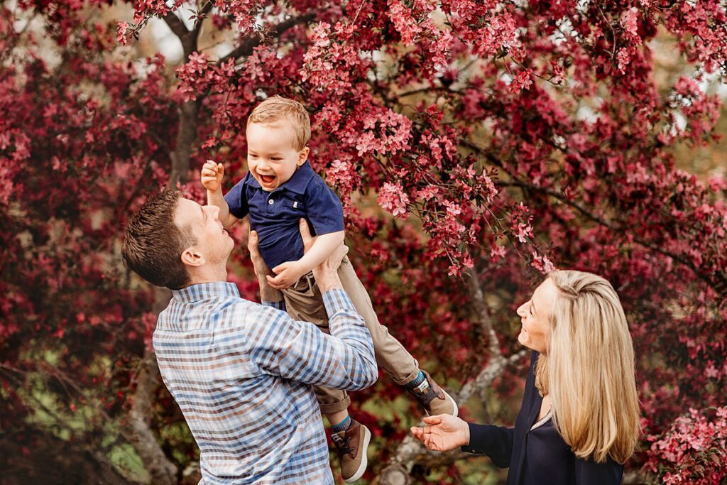 A man lifts a smiling child into the air, while a woman watches happily. They stand under a blooming cherry blossom tree in Boston, with vibrant pink flowers. The scene exudes joy and warmth, capturing the essence of spring family sessions.