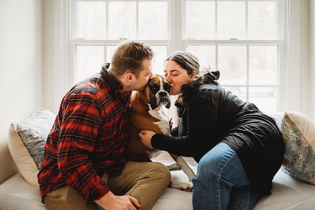 A man and woman sit on a window seat, both leaning in to kiss a brown and white boxer dog between them. This cozy, affectionate moment, captured by a Boston Dog Photographer, is beautifully framed by large windows in the background.