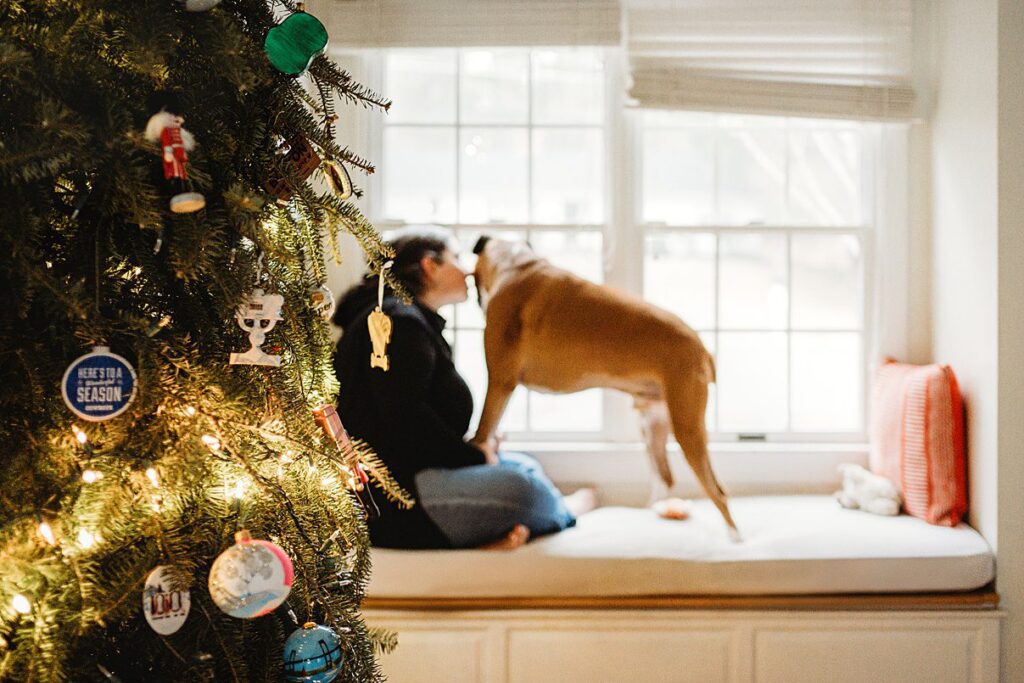 A decorated Christmas tree is in the foreground, while in the background, a person smiles on a window seat as a brown dog gently touches their face near a bright window—capturing the magic of in home dog photography.