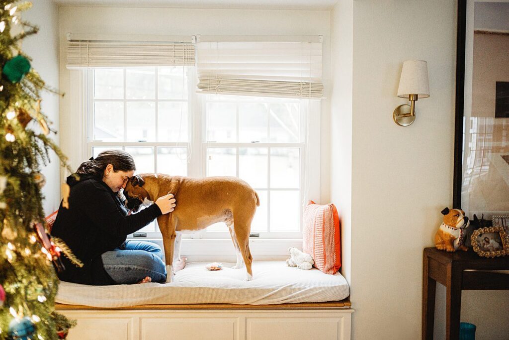 A woman sits on a window seat, gently touching foreheads with her brown dog. Soft light streams through the window, pillows and a stuffed toy add coziness, and a Christmas tree glows—capturing the warmth of in home dog photography.