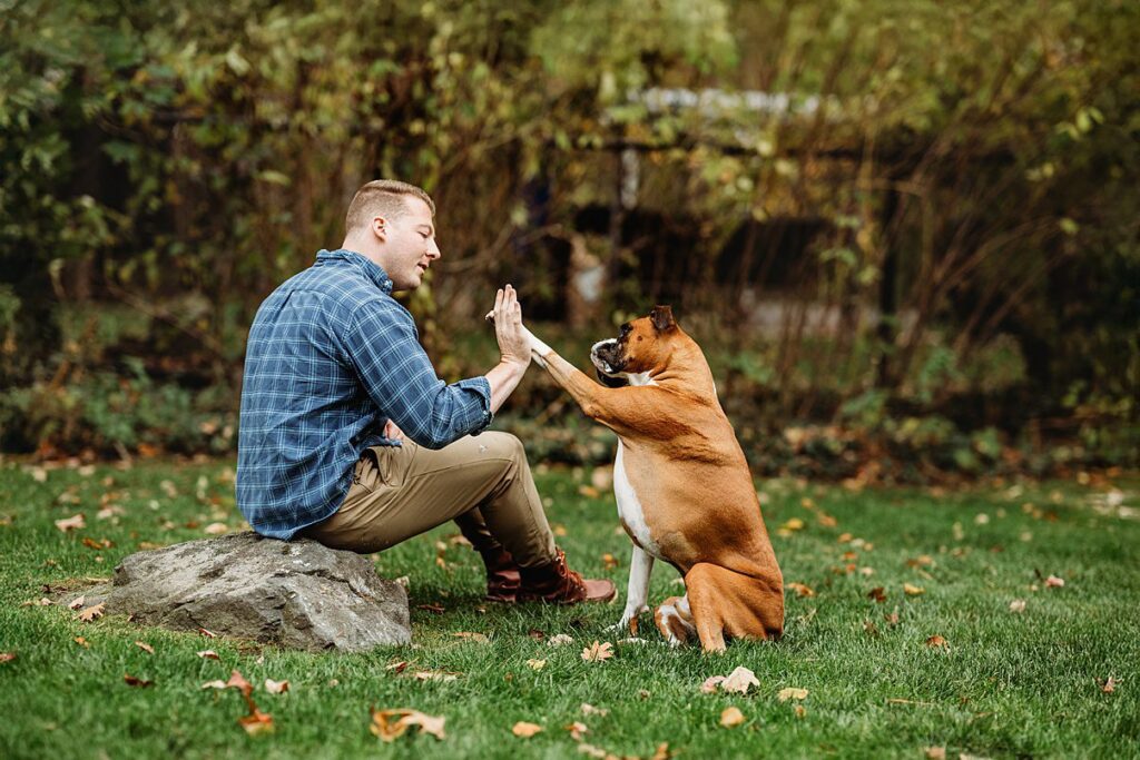 A man sitting on a rock in a grassy yard gives a high five to his brown and white dog standing on its hind legs. Captured by Helena Goessens Photography, trees and foliage create a charming background.